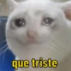 MEMES PRA VOCÊ 15