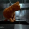Garfield La Pelicula🍝🍕🐱 9
