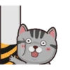 Kucing gemoy 1 11