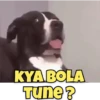 Funny Animals reactions🤣 18
