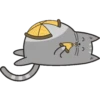 🐱Gatito🖤Gris🤍 7