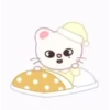 SKZOO ★ 11