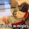 SUGESTÕES DA SEMANA ⭐️ 10