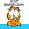 Garfield🐱🧡 5