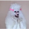 Drag World 1 18