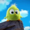 💝🐥Angrybirds cutes🐥💝 5