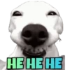 Animals Funny Meme 14