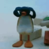 🐧❄️Pingu Animado❄️🐧 22