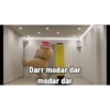 Patrick 16