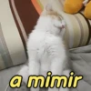 Gatíneos 🐈 12