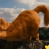 Garfield La Pelicula🍝🍕🐱 16