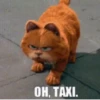 Garfield La Pelicula🍝🍕🐱 10