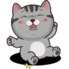 Kucing gemoy 1 16