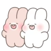 Bunny 17