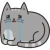 🐱Gatito🖤Gris🤍 16