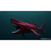 Shark 13