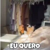 😻 Esse gatinho vc ainda ñ tem 7