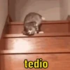 Respostas em reações 15