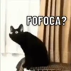 FIGURINHAS BEM ALEATORIAS 🤣 10