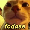 Gatíneos 🐈 15