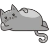 🐱Gatito🖤Gris🤍 6