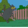Algunos Gatitos Famosos❤️😸 10