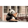 POOOLPIZZA 16
