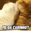 CATS 😸 23