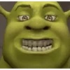 Shrek MEMES 💚 13