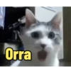 Memes engraçado 11