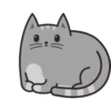 🐱Gatito🖤Gris🤍 15
