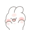 Bunny 13