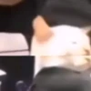 Beijo de gato 22