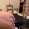 Gatos fofinhos 16