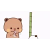 Panda gemoyy 6