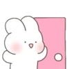Bunny 5