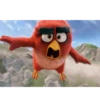 Angry Birds 14