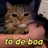 Gatíneos 🐈 14