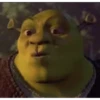 Shrek MEMES 💚 7