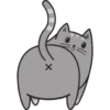 🐱Gatito🖤Gris🤍 5
