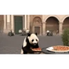 POOOLPIZZA 13