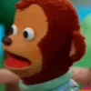 Memes Pedro El Mono 🐵 15