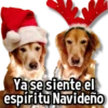 Ya se siente el espíritu Navideño