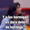 Y a las hormigas les dara dolor de hormiga?