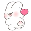 Bunny 15