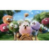 Angry Birds 13