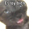 😌 ANIMALITOS CON FRASES 😎 11