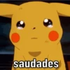 Memes pro zapzap 6