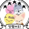 SKZOO INA ver. 30
