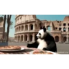 POOOLPIZZA 5